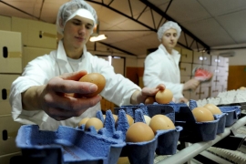  Nemar institucija BiH urušava živinare