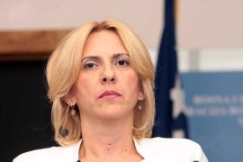 Cvijanović: Sud i Tužilaštvo BiH se moraju reformisati