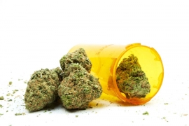 BiH na redu za legalizaciju marihuane