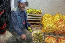 Rogata dinja dobro rodila u Cazinu