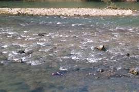 Kamion sletio u Vrbas, vozač povrijeđen, pronađeno tijelo saputnika ...