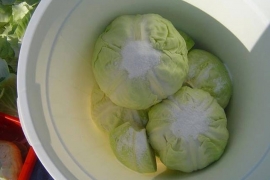 Provjereni recept za ukiseliti kupus