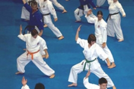 Na nanbudo seminaru u Banjaluci klubovi iz 7 država