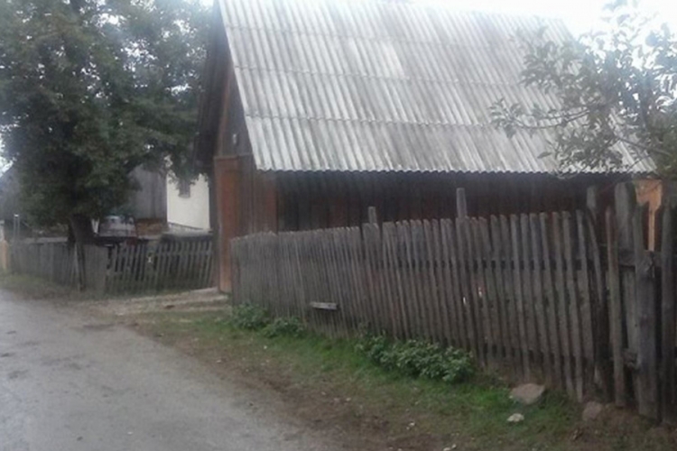 Vukovi zaklali sedam ovaca u Kračulama kod Pala