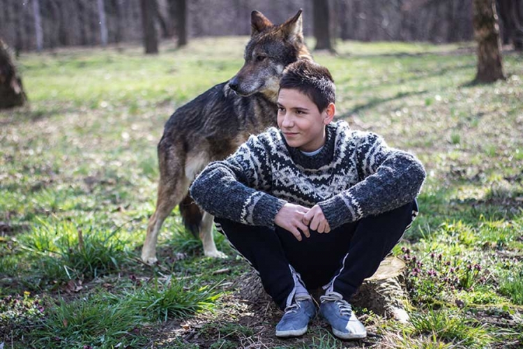 Priča o divljem dječaku: "Ničije dijete" u Multipleksu Palas (VIDEO)