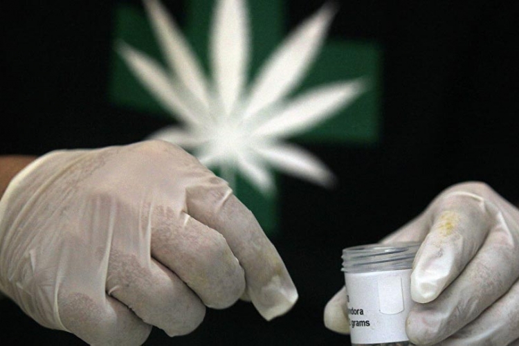 Hrvatska: Marihuana od sutra legalna u medicinske svrhe