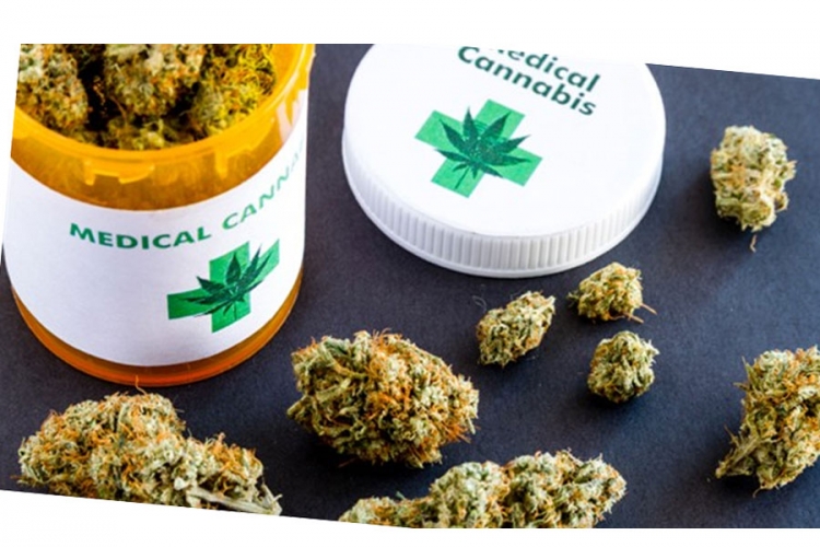 Hrvatska: Marihuana od danas legalna u medicinske svrhe, ali nema je u apotekama