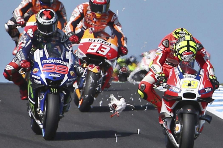 Galeb nastradao na motociklističkoj stazi