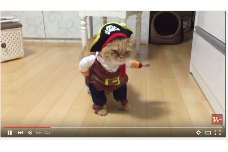 Ovog pirata svi vole (VIDEO)