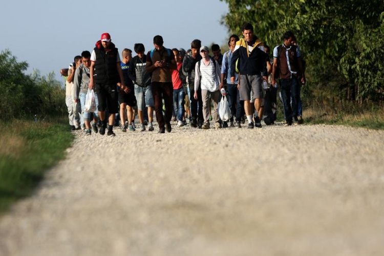 Rekord: U protekla 24 časa u Hrvatsku ušlo čak 11.500 izbjeglica