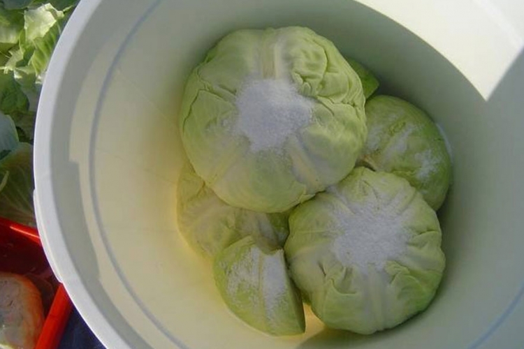 Provjereni recept za ukiseliti kupus