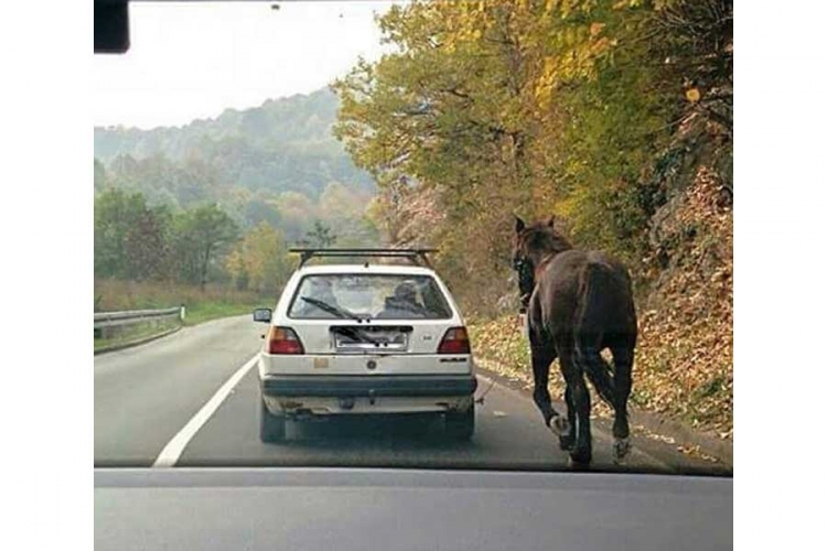 Na putu prema Manjači: Zavezao konja za automobil