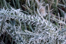 Suvo uz jutranji mraz i temperaturu do 16 stepeni