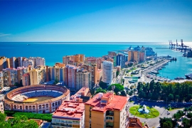 Malaga: Uhapšena žena zbog pokušaja pridruživanju ID