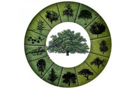 Kompletan staroslovenski horoskop