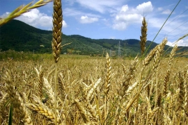 Više od 16 miliona KM za poljoprivredna područja