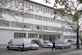 Mihaljici godinu i šest mjeseci zatvora zbog smrti pješaka