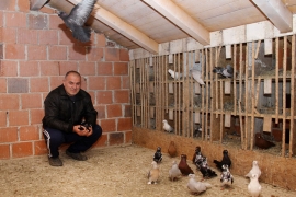 Đuro Opačić iz Kuljana: S golubovima počinje i završava dan (FOTO) 