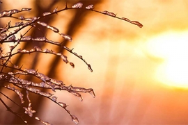 Sunčano i toplije, temperatura do 14 stepeni