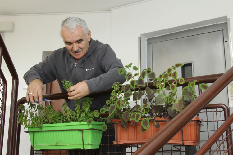 Zgrada puna sloge i cvijeća