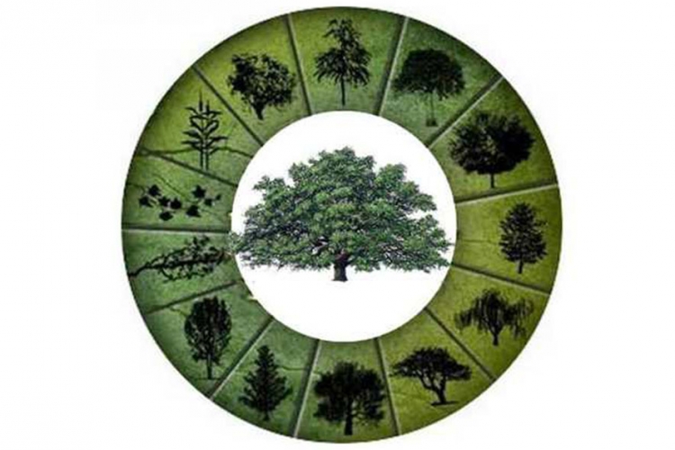 Kompletan staroslovenski horoskop