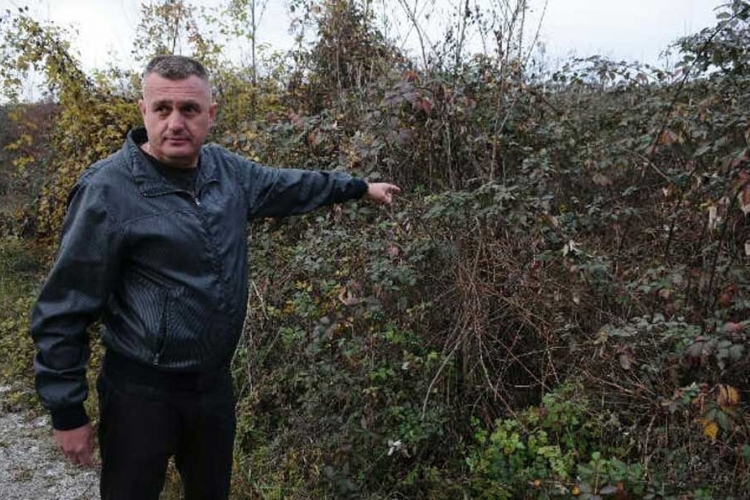 Medvjed kod kružnog toka u Banjaluci: Krije se u grmlju (FOTO)
