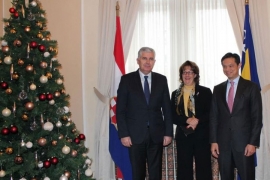 Čović sa delegacijom SAD: Uskoro Akcioni plan za članstvo BiH u NATO 