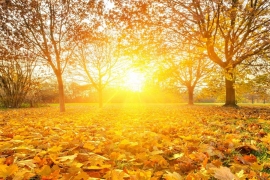 Jutro svježije, tokom dana toplo, temperatura do 15
