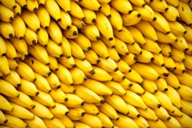 Uskoro bismo mogli ostati bez banana