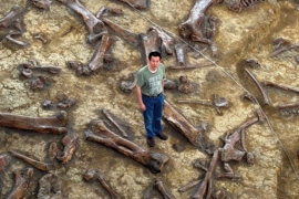 Kina: Pronađeni fosili dinosaurusa stari 180 miliona godina