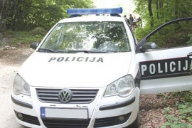 Livno: Usmrtilo ga stablo dok je obilazio šumu