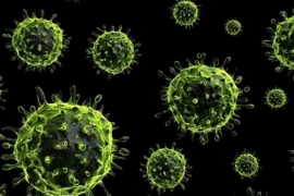 Iran: Od svinjske gripe umrlo 57 ljudi