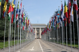 UN: Usvojena rezolucija protiv ID