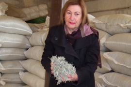Nada Marić za NEZAVISNE: Hercegovačka eterična ulja stižu u 26 ...