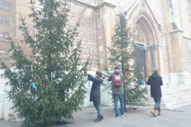 Sarajlije samoinicijativno ukrasili jelke ispred crkava (FOTO)