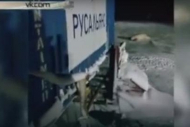 Užasno: Polarnom medvjedu poturili petarde u hranu (VIDEO)
