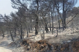 Trebinje: Već šest dana ne jenjavaju požari na Zupcima