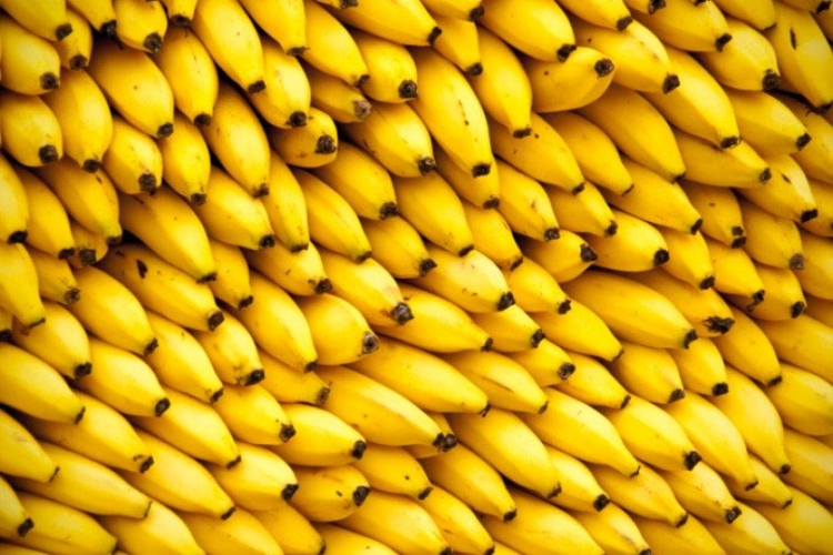 Uskoro bismo mogli ostati bez banana