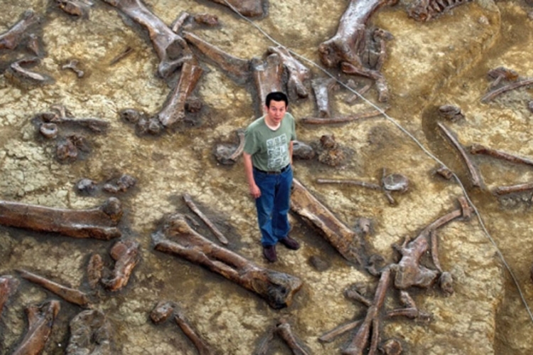 Kina: Pronađeni fosili dinosaurusa stari 180 miliona godina