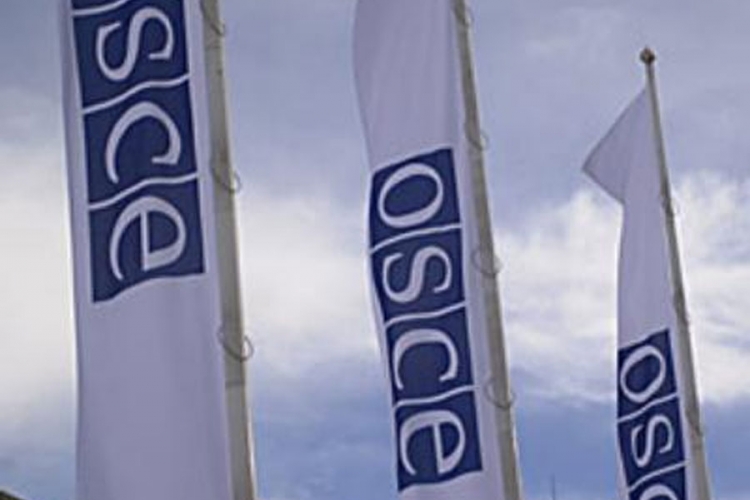 OEBS: Puna pomoć interresornoj radnoj grupi