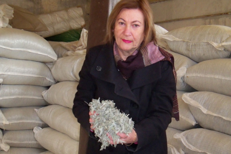 Nada Marić za NEZAVISNE: Hercegovačka eterična ulja stižu u 26 zemalja