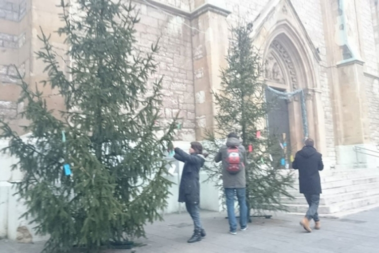 Sarajlije samoinicijativno ukrasili jelke ispred crkava (FOTO)