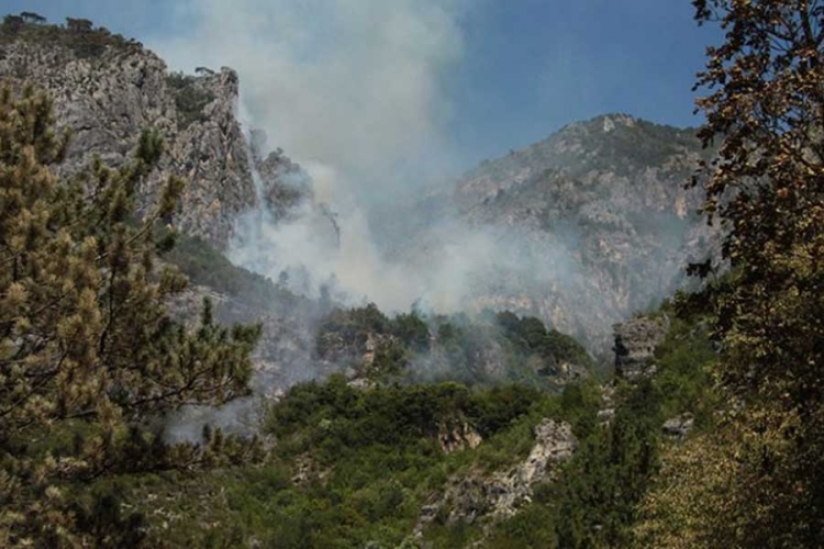 Vatra opkolila Gacko, aktivno pet požara