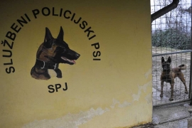 Policijski psi: Internacionalni šampioni u napadima, detekciji ...