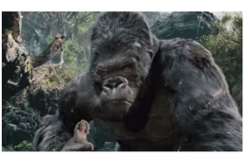 Otkriveno zašto je nestao King Kong