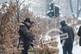 Velika ponuda badnjaka u Banjaluci