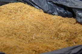 Kod Olova oduzeto 198 kilograma duvana 