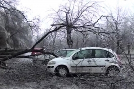 Banjaluka: Udari vjetra jači od 80 km/h, stablo iščupano iz korijena ...