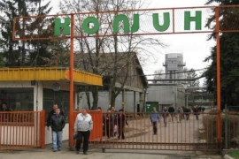 Radnici "Konjuha" štrajkuju glađu u krugu fabrike