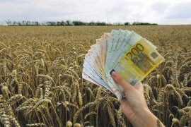 Brazilski investitori zainteresovani za ulaganja u poljoprivredu